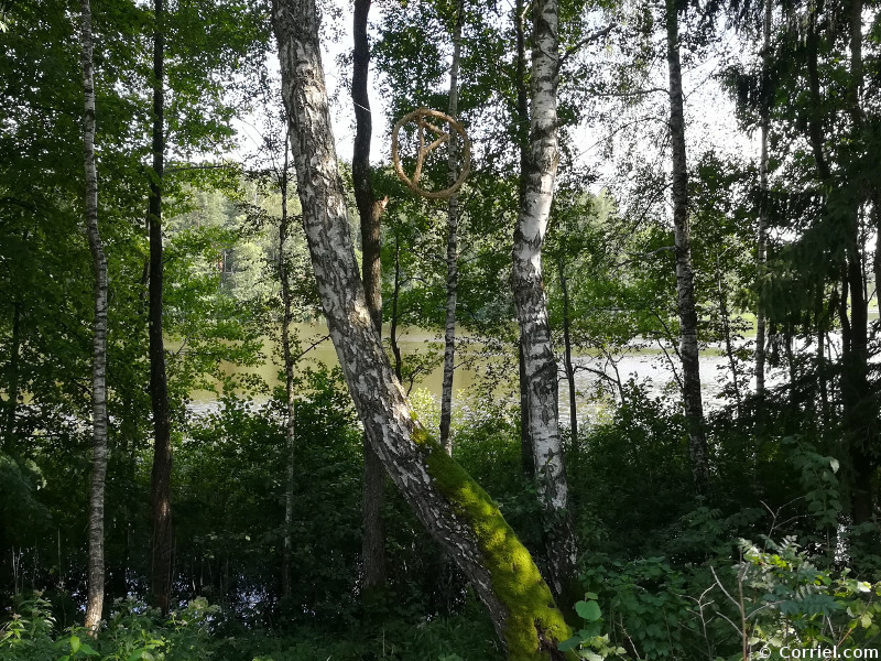 Along the lake
